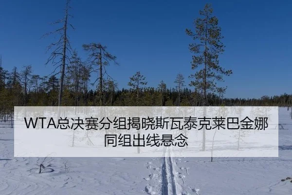 WTA总决赛分组揭晓斯瓦泰克莱巴金娜同组出线悬念